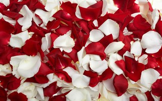 Valentines_Day 77.jpg